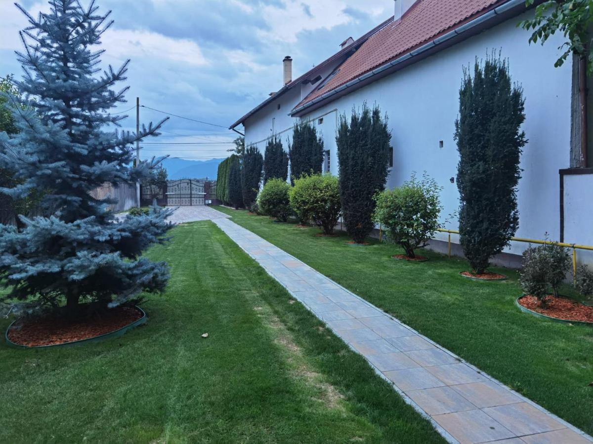 Janine Garden Hotel Brașov Exterior foto